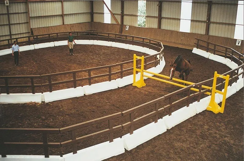 Achetez le Rond de longe en résine Ø 15 m La Gée - Equi-Clic