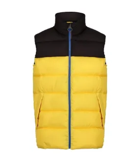 Bodywarmer matelassé vintage - Homme - TRA891 - jaune solar et noir