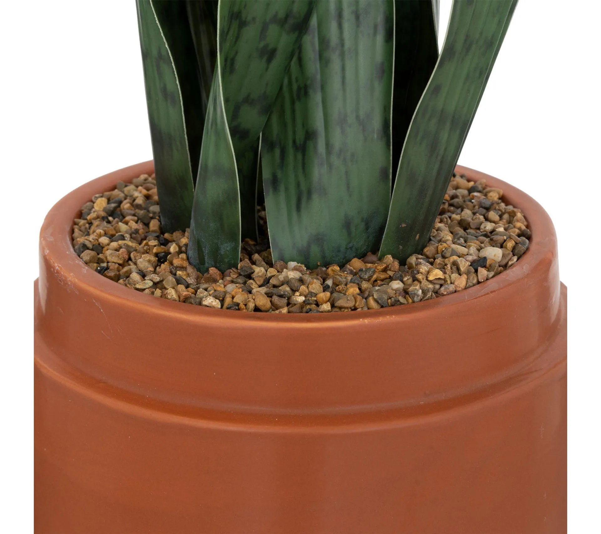 Plante en pot H. 70 cm ATMOSPHERA Cannelle