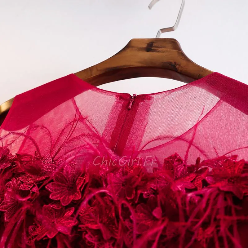Robe De Bal Ceremonie Manche Longue Rouge Dentelle Avec Fleur Plumes