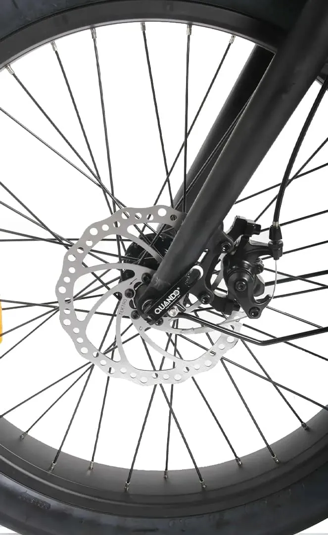 Voltaway Panamax Velo Electrique Cargo
